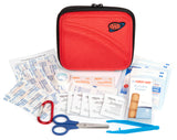 AAA Tune Up Kit